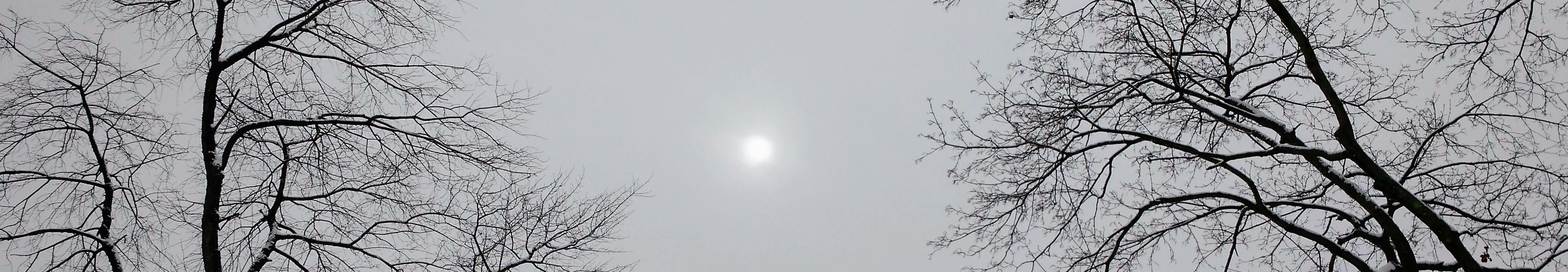 In the middle there is the sun struggeling to shine through a thick layer of clouds, and dark trees are visible on either side with some snow on them.
